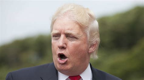 Why Does Donald Trumps Hair Look Like That — Quartz