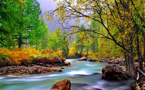 Mountain River With Rocks Rocks Yellowed Grass Evergreen