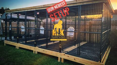 The Outdoor Dog Kennel Setup That Just Keeps Getting Better The Build