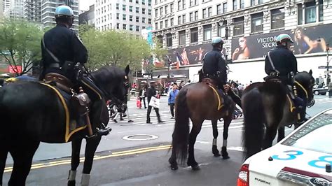 New York City Upclose Nypd Mounted Police Youtube