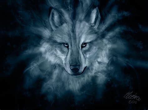 3d Hd Wolf Wallpapers Top Free 3d Hd Wolf Backgrounds Wallpaperaccess