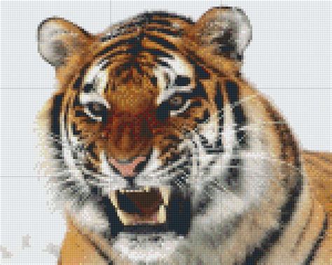 Free photo: Fierce Tiger - Animal, Bengal, Fierce - Free Download - Jooinn