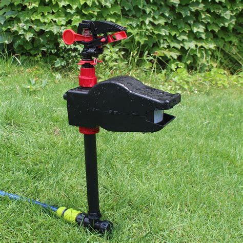 Buy the scarecrow motion detector sprinkler today from domyownpestcontrol.com with free shipping! Daniel Ballinger's FishOfPrey.com: The Mad Catter ...