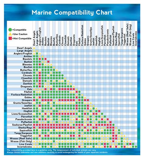 Freshwater Fish Compatibility Chart Petco Fishing Outdoor Jack