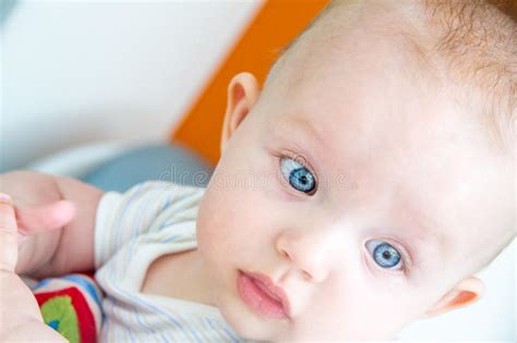 Baby Boy Thinking Stock Photo Image Of Face Ethnicity 36256612