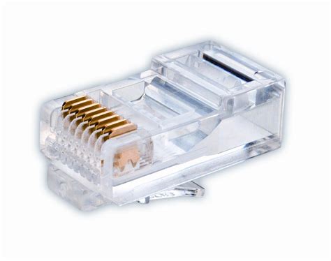 They are twisted into 4 pairs of wires. RJ45 CAT5e Plug for UTP Cable (One Piece) - TDIGroup