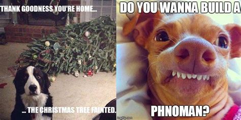Funny Christmas Memes With Dogs Perpustakaan Sekolah