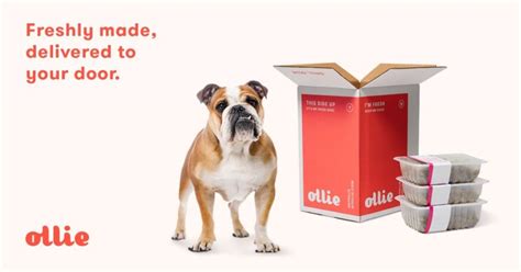 One of my dogs has spleen cancer. Dilated Cardiomyopathy: 5 Safe Dog Foods That Have Never ...