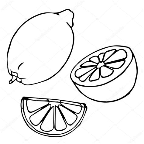 Lemon Slice Drawing Free Download On Clipartmag