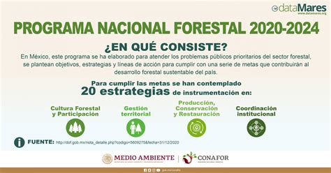Programas Y Apoyos Sistema Nacional De Información Forestal