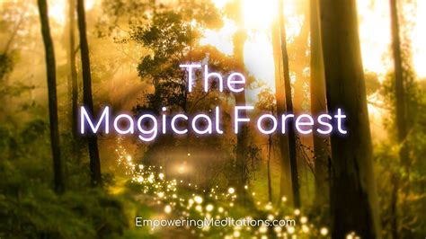 The Magical Forest Guided Meditation Visualization For Deep