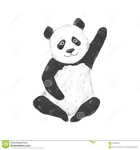 Panda Clip Art Drawing Animal Illustration On White Background Cute