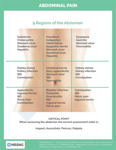 Abdominal Pain Assessment By Quadrant Nrsng Tools And Confidence To Succeed In Nursing