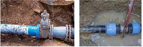 So, while apple tree roots are considered invasive, how far do they spread, and can they still cause damage? Your Sewer Line vs. Tree Roots: What to Do - Plumbing Fort ...