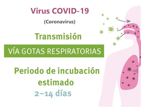 Preguntas Y Respuestas Sobre El Virus Coronavirus Covid 19