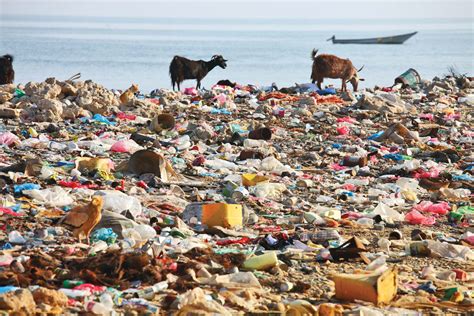 Plastic Pollution A Threat To Ecosystem Health One Health And