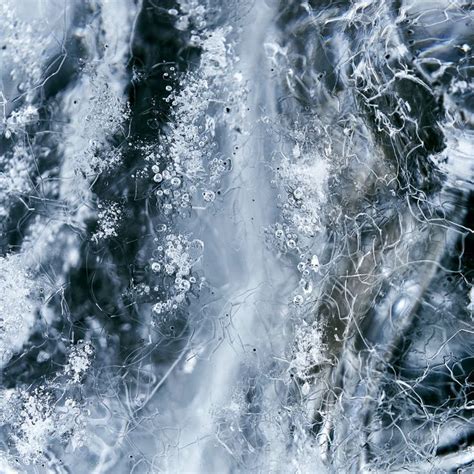 Most stock photos are copyrighted, even if they appear in search engines and we can easily download or copy them. water splash on white background photo - Free Nature Image ...