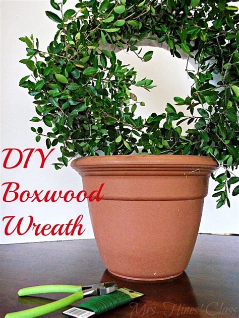 Boxwood Wreath Boxwood Topiary Preserved Boxwood Wreath