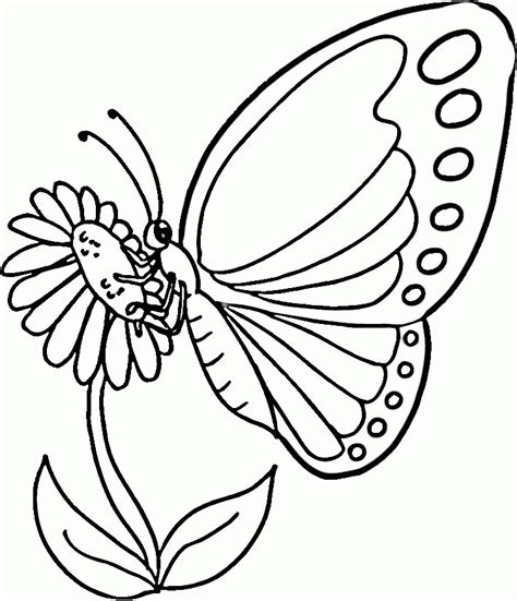The wings of a butterfly are so great for combining different colors. Monarch Butterfly Coloring Page - Coloring Home