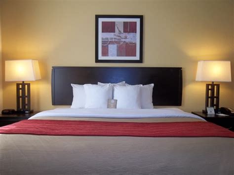 Free local calls are provided (restrictions may apply). Comfort Inn & Suites Northeast - Gateway (St. Petersburg ...