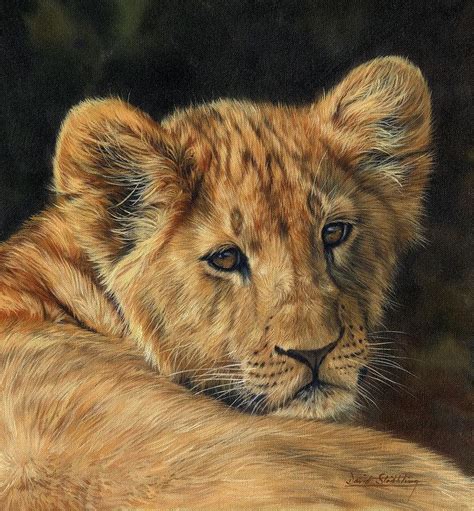Lion Cub Painting By David Stribbling Pixels
