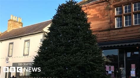 Borders Towns See Christmas Trees Shrink By A Third