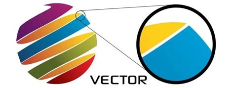 What Are Vector Graphics And Important Facts