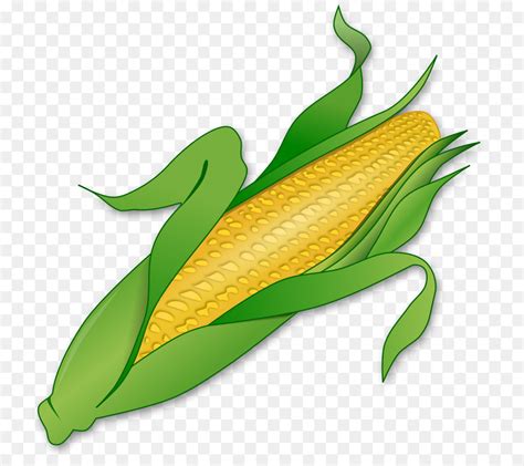 Corn Clipart Harvest Corn Corn Harvest Corn Transparent Free For