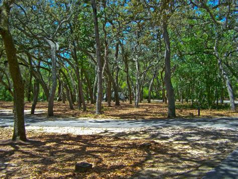 15 Developed Campgrounds To Love In Ocala National Forest