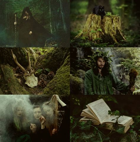 Offaeriesandfawns Magic Forest Magic Aesthetic Witch Aesthetic