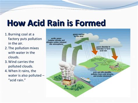 Acid Rain For 3rd And 4th Graders