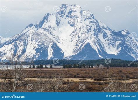 Massive Snowy Mountain At Grand Teton National Park Stock Image Image
