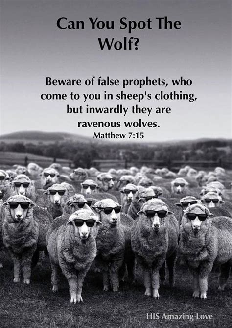 Why Did Yahushua Call Them Wolves In Sheep Clothing Man Child Of