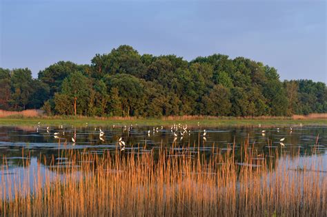 Bombay Hook National Wildlife Refuge Rv Lifestyle News Tips Tricks