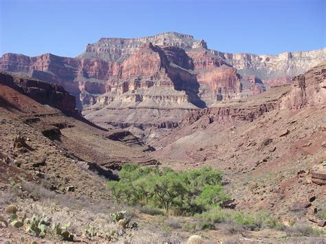 Grand Canyon Oasis On Tapeats Creek Thumb Butte In Background