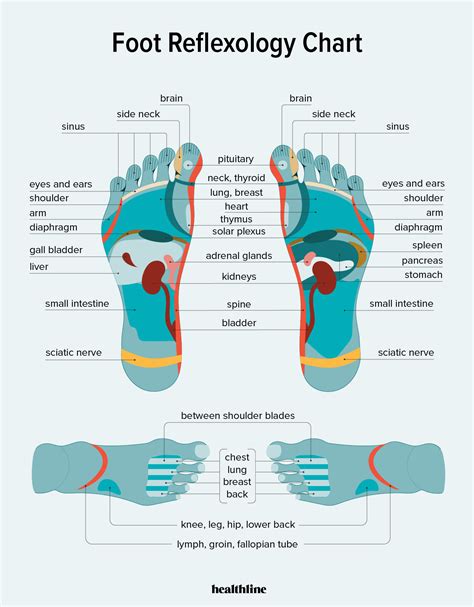 Foot Reflexology Chart Points How To Benefits And Risks In 2021