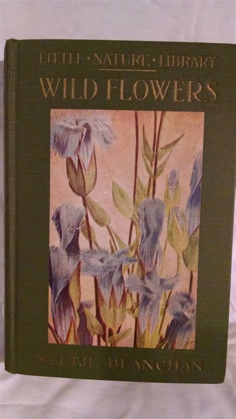 Wild Flowers Worth Knowing Little Nature Library By Adapted By Asa Don