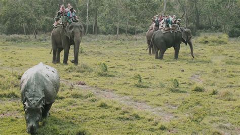 Chitwan Jungle Safari Tour Nepal Fair Trekking