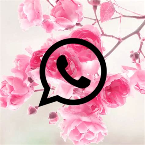 Whatsapp Icon Pink Flower 174526615001201 By Afagotica