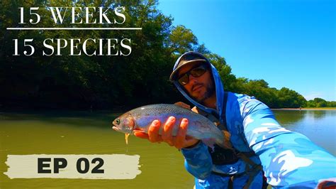 Fly Fishing Oklahoma15 Species Challenge Ep 2 Lower Illinois River