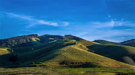 Fotos Gratis Paisaje árbol Naturaleza Camino Césped Horizonte