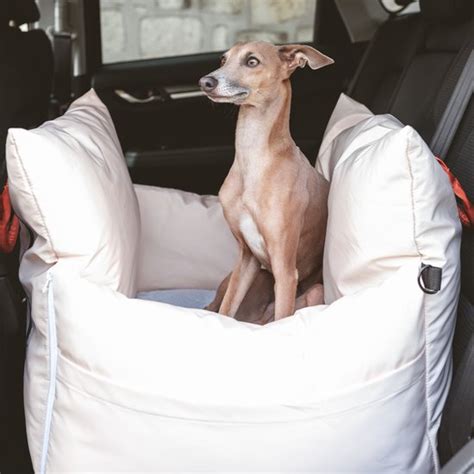 Neem Jij Jouw Hond Mee In De Auto Bekijk Hier De Beste Honden Autostoelen