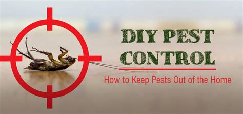 A few pest control companies can boast green pest solutions or certification with the national pest management association's greenpro program. DIY Pest Control Ideas | Do it Yourself Pest Control in Home