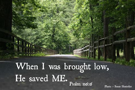 God Saved Me Photo By Susan Hostetler Psalm 116 Psalms I Love You Lord All Names Save Me