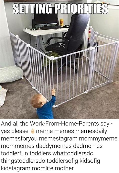 83 Best Work From Home Memes