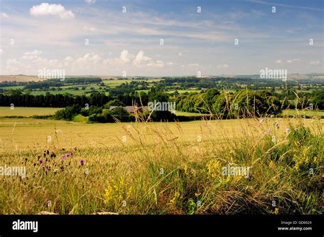 Wiltshire Landscape Above Stert Looking Towards Salisbury Plain Stock