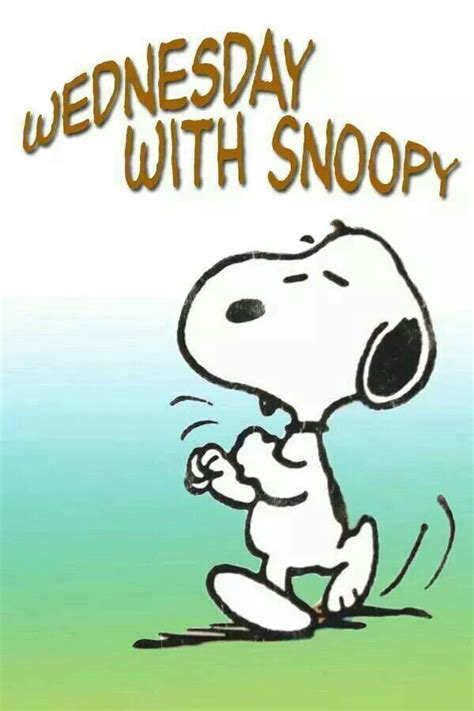 Its Wednesday With Images Snoopy Quotes Snoopy