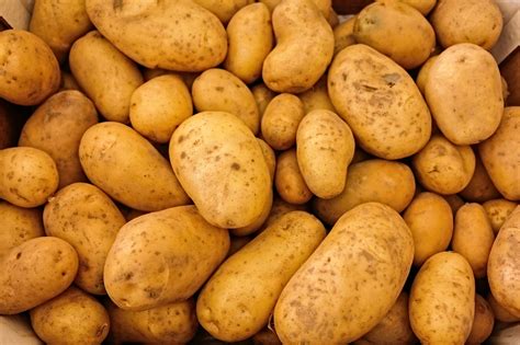 Fresh Potatoes Royalty Free Stock Photo