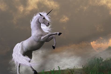 National Unicorn Day The Top 10 Unicorn Facts About This Mythical