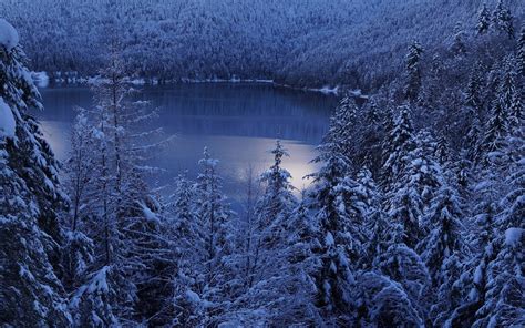 Landscape Nature Lake Winter Mountain Forest Snow